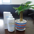 Sữa dưỡng thể Atomy Body Lotion đánh thức vẻ đẹp làn da bạn.