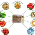 Collagen tươi