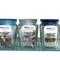 Bộ 3 hũ thủy tinh Tonaglass có khay