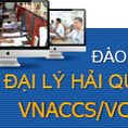Thông tin khóa học khai báo hải quann tốt nhất tại Hà Nội.