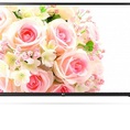 Cực tươi sáng, siêu chân thực với TIVI LG 55LJ550T 55 INCH , FULL HD