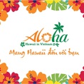 Hot mang phong cách hawaii đến việt nam chỉ với 850tr/căn .