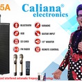 Loa kéo di động Caliana WD 15A 4 tấc