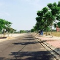 Bán đất nền liền kề Cocobay mặt tiền trung tâm khu kinh tế mới Nam Đà Nẵng