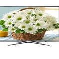 SMART TIVI SAMSUNG 43 INCH 43M5500, FULL HD về hàng giá ưu đãi