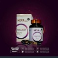 Collagen chăm sóc da KEVA360