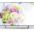 Khai mở thế giới màu sắc tự nhiên với Tivi Sony 49W750E 49 inch, 43W750E 43 inch