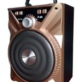 Loa Bluetooth trợ Giảng karaoke P86 / P87 / P88 / P89