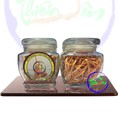 Đông trùng hạ thảo khô sinh khối sản phẩm của Viện bảo vệ thực vật