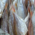 Cá phèn hồng 1 nắng