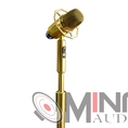 Micro karaoke đứng không dây Bonus Audio MF8