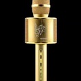 JY55 Míc hát micro karaoke Loa kèm micro 3 trong 1 kết nối Bluetooth Míc hát micro karaoke