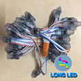 F8/D12 ic 1903