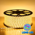 led cuộn 100m chip led 3014 1 mầu