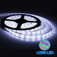Led cuộn 5m mắt 3528 điện 12v trắng