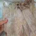 Mực khô câu Vân Đồn chuẩn loại 1