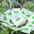 Trà thảo mộc Vy Tea Giải pháp giảm cân an toàn và hiệu quả