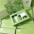 Bộ dưỡng trắng da mini trà xanh innisfree hàng chuẩn giá rẻ