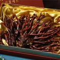 Nấm sừng hươu