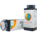 Viên Uống Đẹp Da Collagen Youtheory