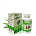 Glomesol Hỗ trợ điều trị bệnh lý thận mạn tính