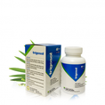 Trigosol Hỗ trợ điều trị bệnh tiểu đường hiệu quả