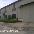 Cho thuê kho xưởng tại Thanh Hóa với giá cực hợp lý