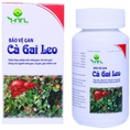 Bảo vệ gan cà gai leo Bảo vệ gan, giúp hạ men gan