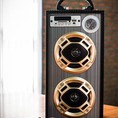 2.0ch speaker