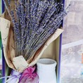 Hộp Hoa Lavender cao cấp kèm túi thơm 330 cành