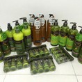 Bộ sản phẩm Oganic Trio Oil Chăm sóc tóc Sữa tắm nhập khẩu