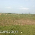 Bán đất Khai Sơn, Thuận Thành, Bắc Ninh DT 10.005m2