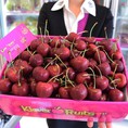 Cherry đỏ Úc ngon nhất 599.000đ/kg tại Klever Fruits