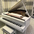 Grand Piano Yamaha