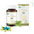 Thanh Trường Vị Mạnh tiêu hóa, khỏe dạ dày