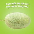 Dưa lưới AB Sweet­ siêu sạch Vũng Tàu 100g