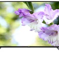 Đại lý cấp 1 phân phối Tivi TCL 65P6,55P6,50P6,43P6 giá rẻ tại HN