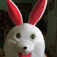 May và bán mascot ngừoi mặc rẻ, đẹp,