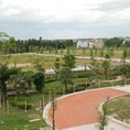 Bán đất thôn Gốc Duối, xã Ngọc Thanh Vĩnh Phúc 1500m2 gần Hồ Đại Lải