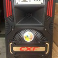 Loa kéo di động CXF 805 2 tấc