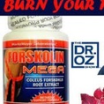 Thuốc giảm cân Forskolin Đẳng cấp giảm cân đến từ Hoa Kì