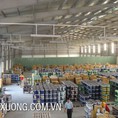 Cho thuê nhà xưởng tại KCN Lai Vu, Kim Thành, Hải Dương giá hợp lý