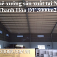 Cần cho thuê gấp nhà xưởng tại Nga Sơn, Thanh Hóa DT 3005m2