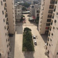Cho thuê căn hộ giá rẻ 3 phòng ngủ tại Lê Hồng Phong Hải Phòng