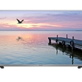 Tivi Panasonic led TH 40E400V 40 Inch fullhd siêu giảm giá