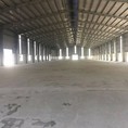 Cho thuê nhà xưởng tại Thanh Hóa, huyện Hoằng Hóa 710m2 đến 3050m2
