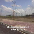 Chuyển nhượng gấp đất KCN Hải Dương DT 10005m2 giá hợp lý