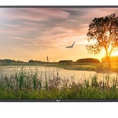 Phân phối Tivi LG 32LK500 32 inch giá rẻ cho dự án