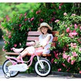 Xe đạp trẻ em chính hãng LanQ, Royalbaby, Stitch, TrinX, Galaxy,...an toàn và chất lượng