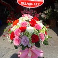 Shop hoa tươi Thị Xã Cửa Lò Nghệ An đã mở rộng dịch vụ tặng hoa tươi trong khắp mọi nơi